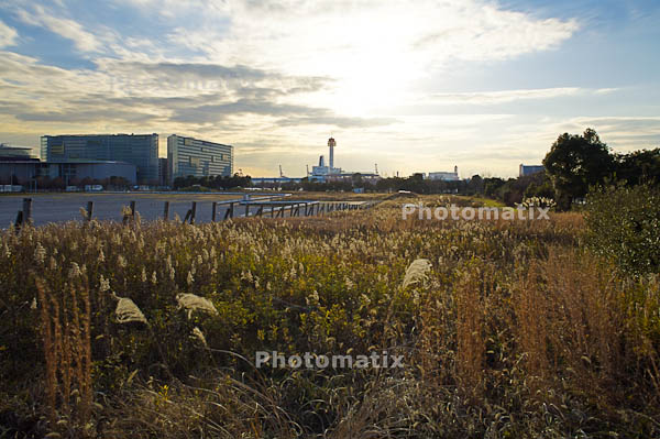 引き続きPhotomatix Pro 3.0 体験版を試用_f0077521_211562.jpg