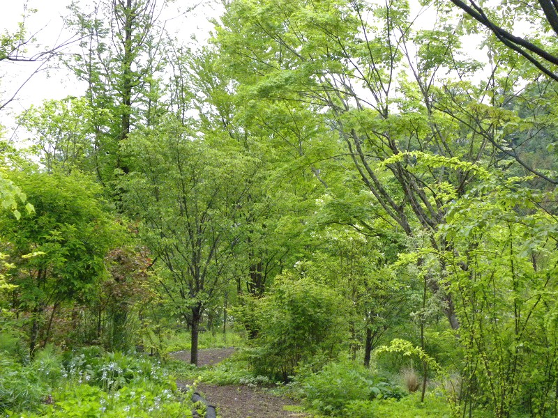 e0136424_98340.jpg