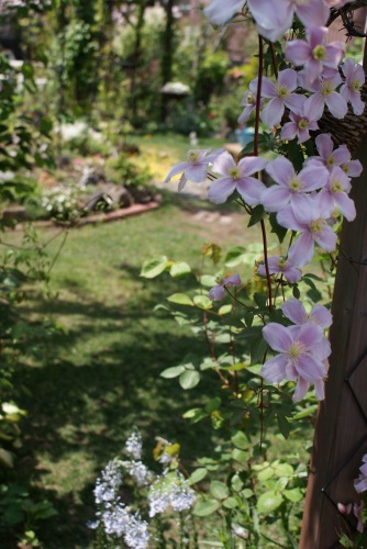 f0170524_13323149.jpg