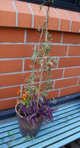 f0170524_13331791.jpg