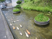d0086228_14591257.jpg