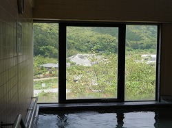 d0086228_15214717.jpg
