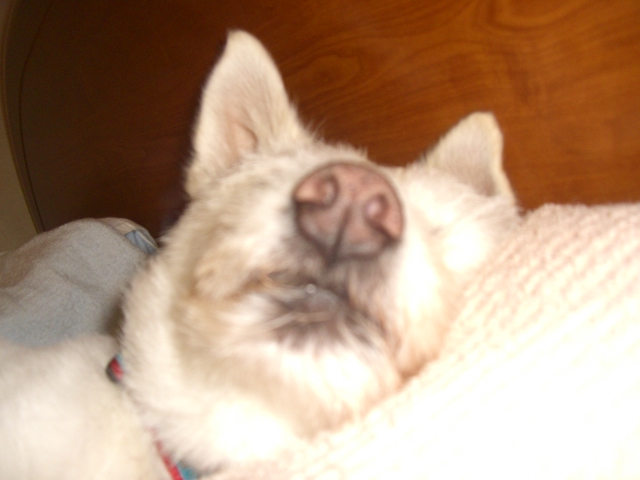 c0123029_053298.jpg