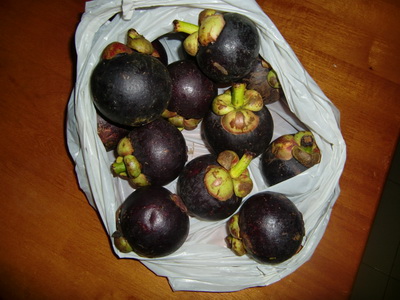 f0001835_16174353.jpg