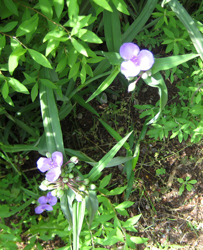 f0038336_8311318.jpg
