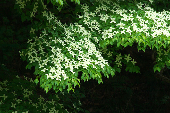 c0067040_22162048.jpg