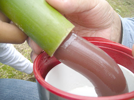 f0001841_1740023.jpg