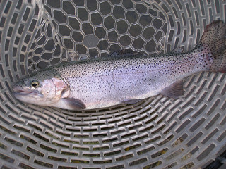 f0065341_01506.jpg