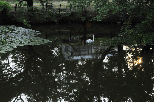 c0093046_7325182.gif