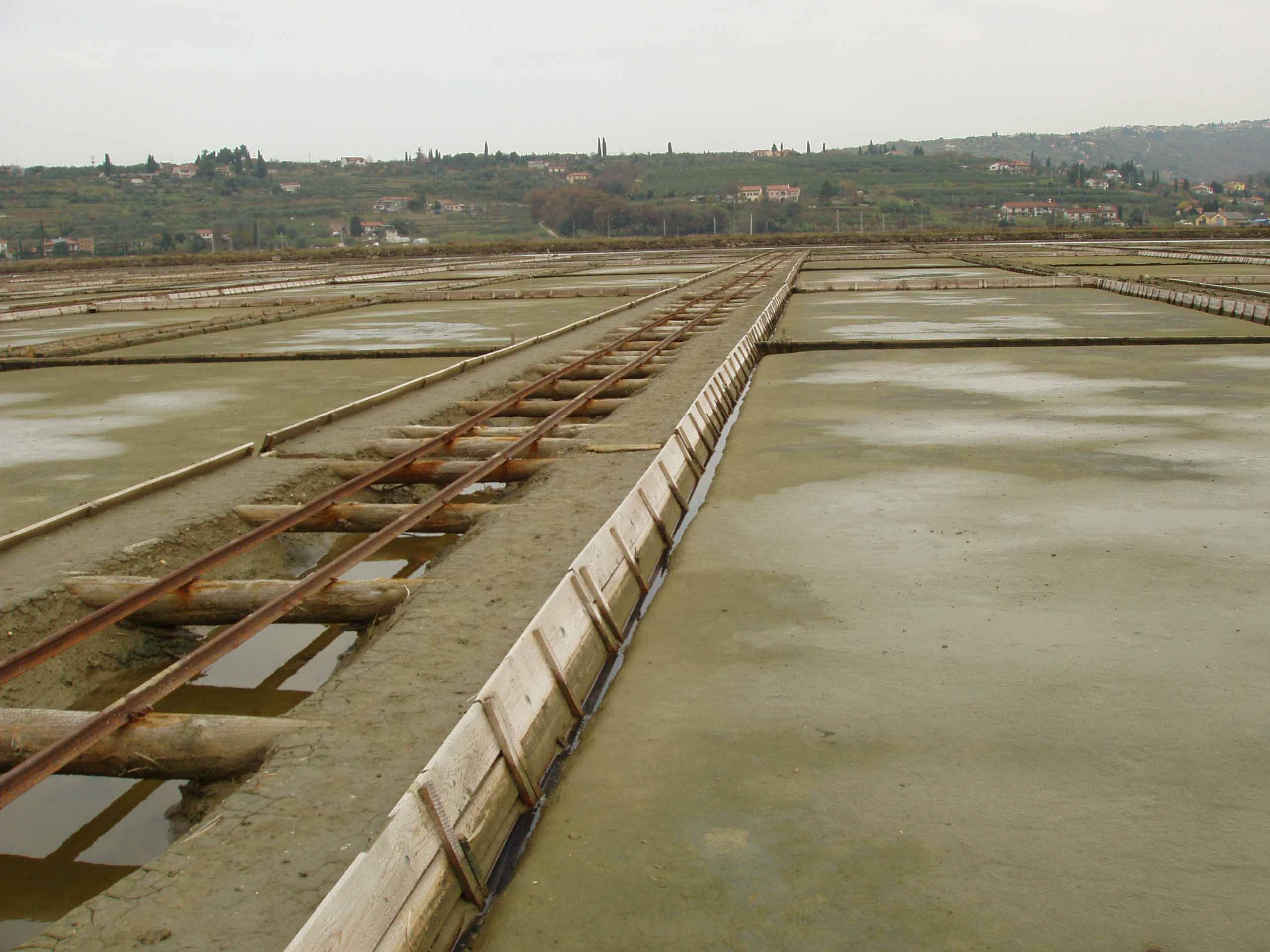 f0196757_10311026.jpg