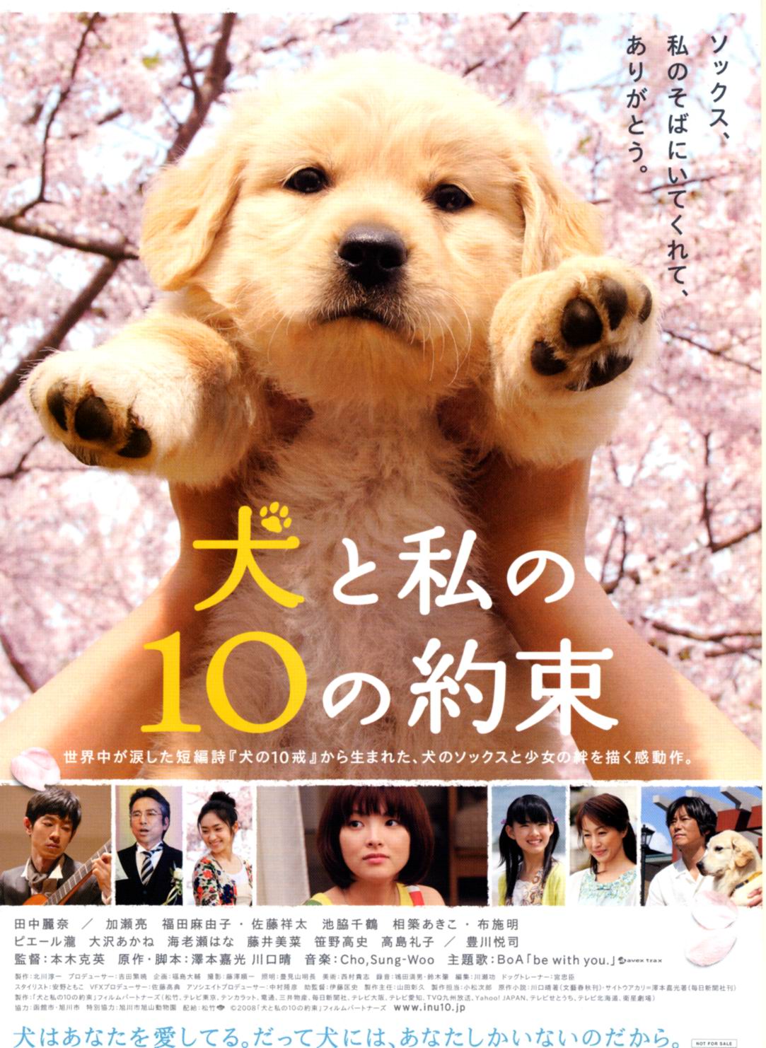 犬と私の10の約束 ぬるい 雑感記 犬と私の10の約束 ぬるい 雑感記