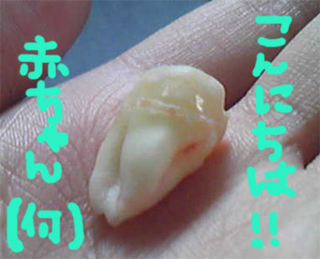 e0135965_10363119.jpg