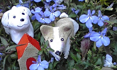よそんちのわんこ♪_e0136066_19254722.jpg