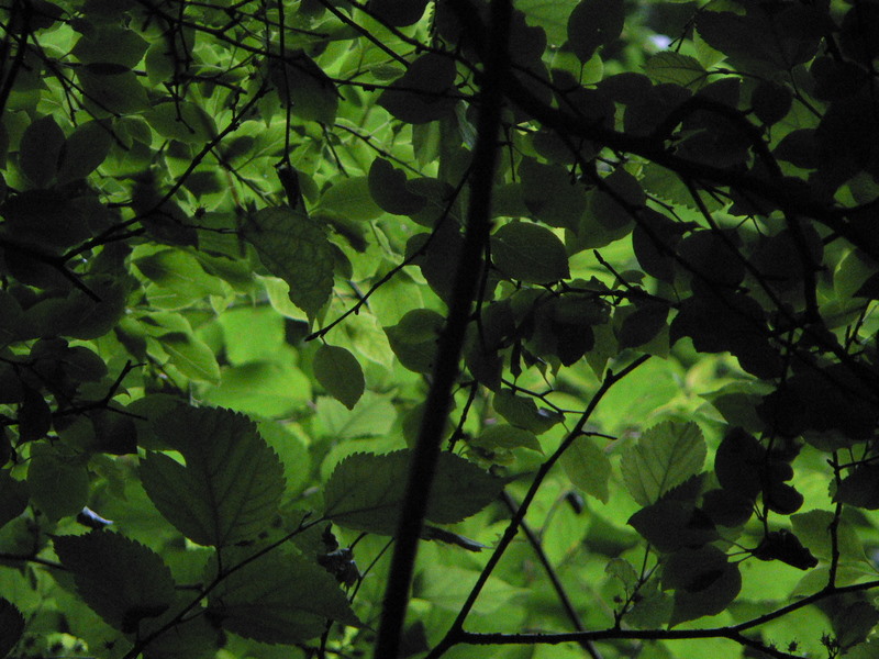 f0065568_21261172.jpg