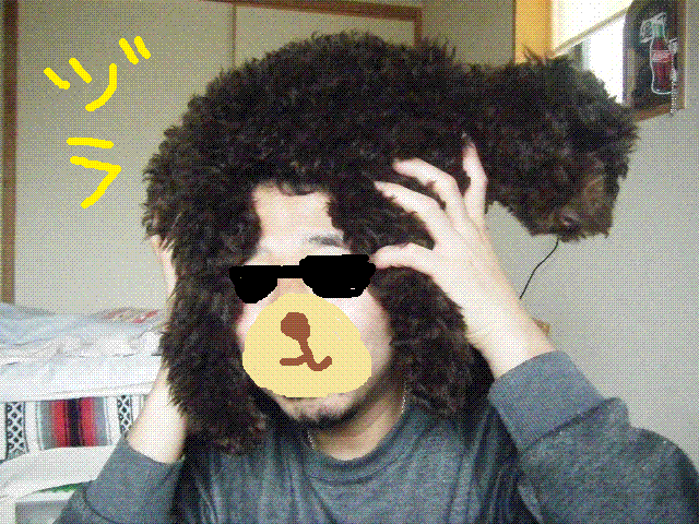 f0207970_8562090.gif