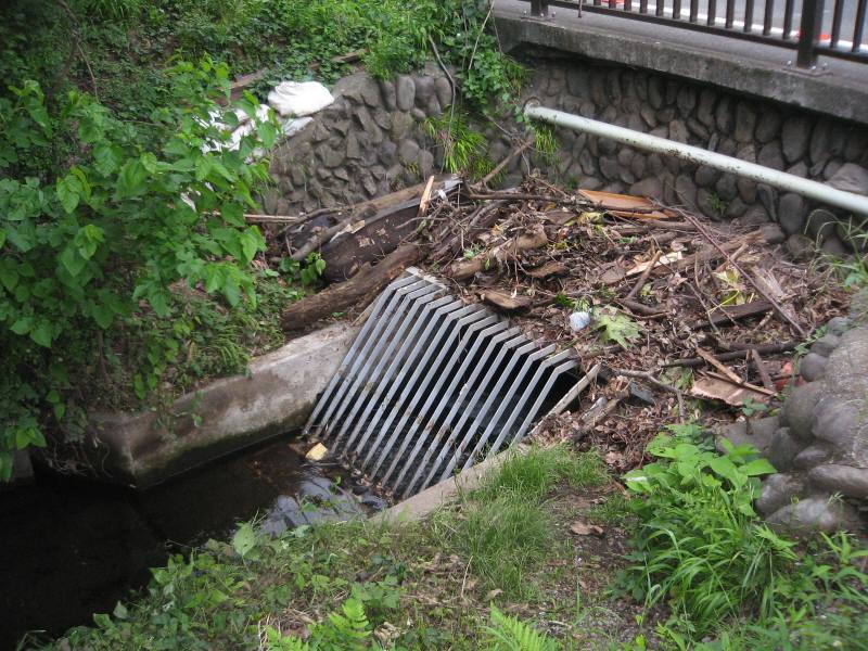 雨後の野火止用水_f0059673_67324.jpg