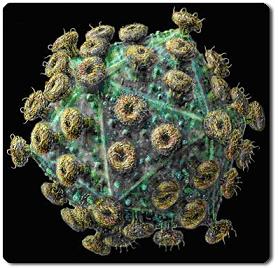 世界保健機関のワクチン接種、そしてエイズの急激な発症　ｂｙ　ゲイリー・グラム_c0139575_2346434.jpg