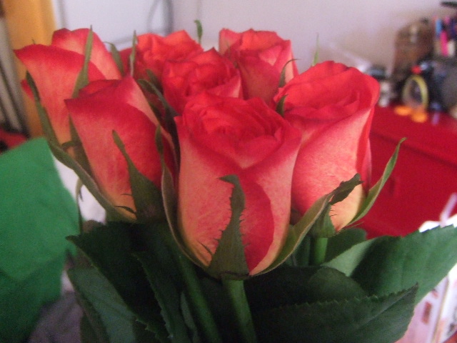 f0028584_23399.jpg