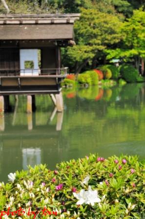 古都金沢散策～初夏の「兼六園」その壱 _b0155692_19113138.jpg