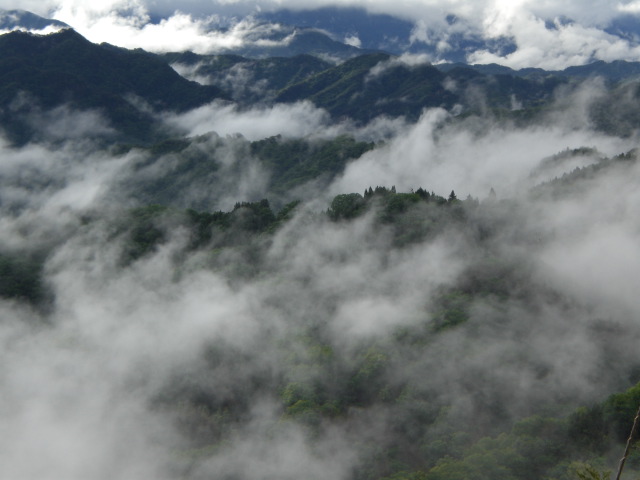 c0099395_14432236.jpg