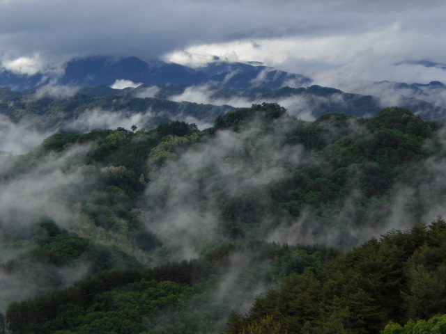 c0099395_14433551.jpg