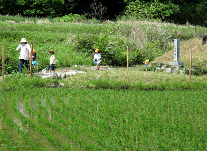 一の鳥居跡_b0145296_9145785.jpg