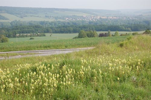 Geneviève-lès-Gasny  et  La Roche-Guyon のブロカント_e0133096_2245741.jpg