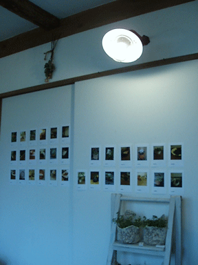 c0129702_23463761.gif
