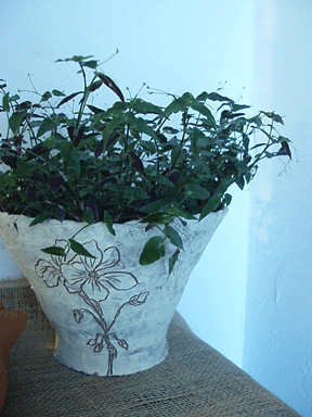 c0129702_23482943.gif