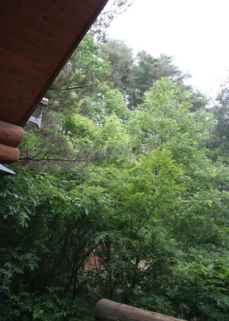 a0109304_0171535.jpg