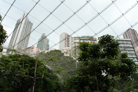 香港公園_f0115107_1412595.jpg