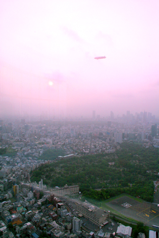 c0177109_1431393.jpg