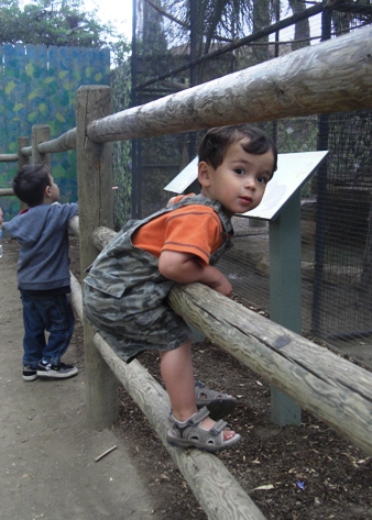 こーちゃんと動物園へ_b0011412_10431079.jpg