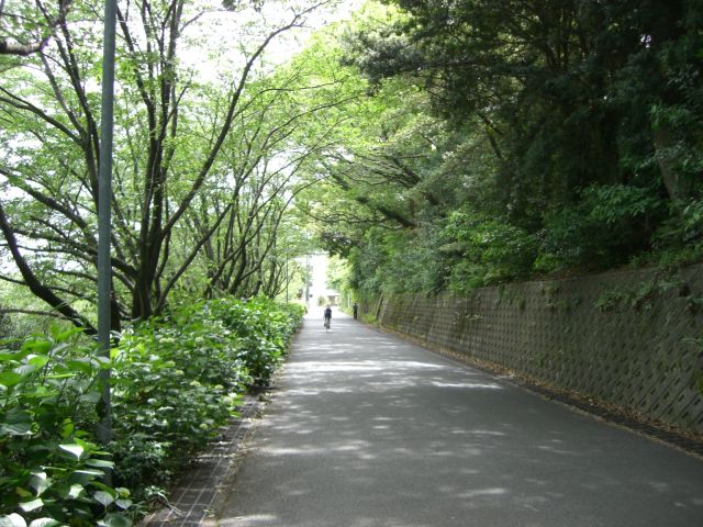 ラッキョ軽便鉄道跡ジョグ_f0169012_18533414.jpg