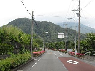 八丈島便り　ＮＯ、７７２　　２００９・５・３０_f0000521_631293.jpg