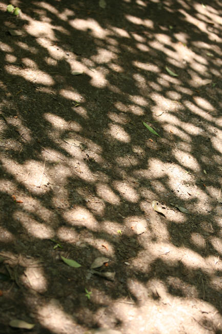 f0017530_21452178.jpg