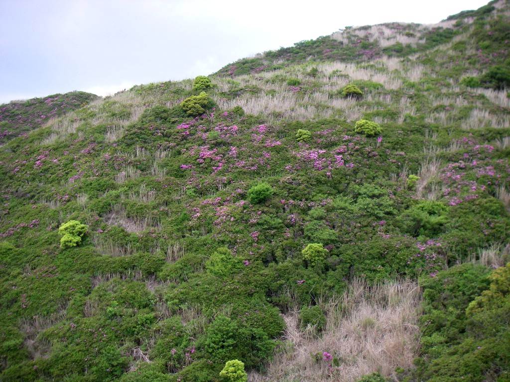 烏帽子岳(09.05.27/28)_f0039234_01566.jpg