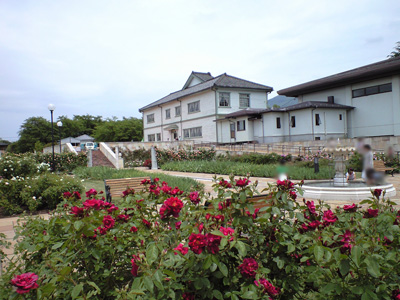 d0146737_16375143.jpg
