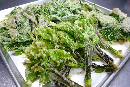 行者ニンニク こしあぶら 明日葉の天ぷら お気楽ヒルぞぉーブログ 行者ニンニク こしあぶら 明日葉の天ぷら お気楽ヒルぞぉーブログ