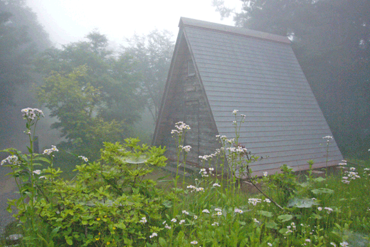 c0093046_1726281.gif