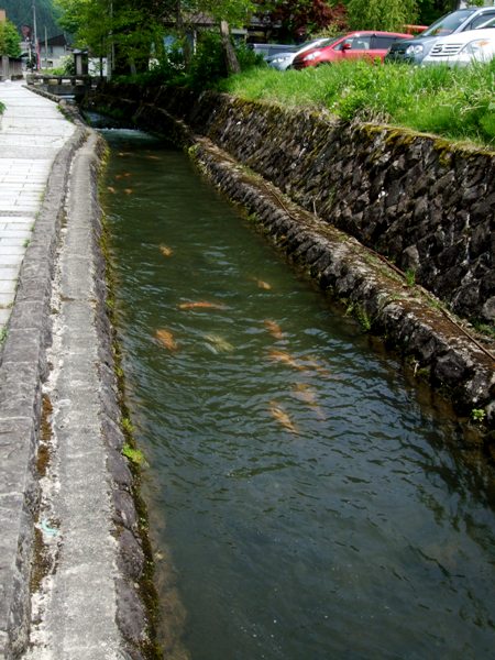 d0023346_9331332.jpg