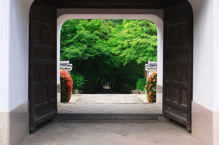 サツキ咲く(宇治・興聖寺)_f0155048_2349537.jpg