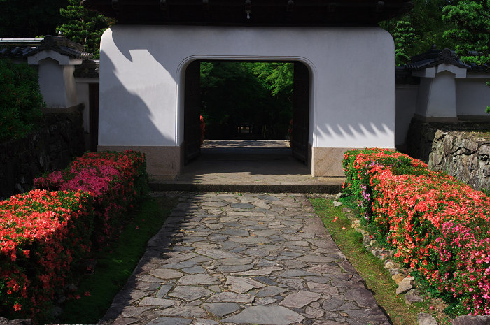 サツキ咲く(宇治・興聖寺)_f0155048_23562445.jpg