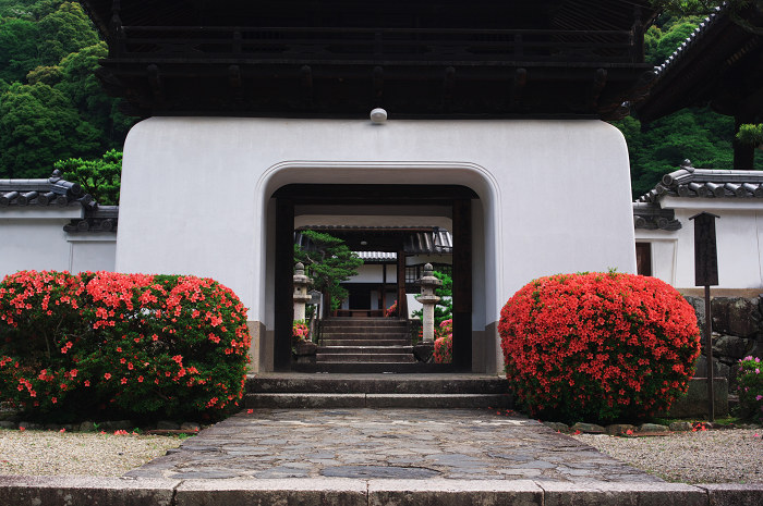 サツキ咲く(宇治・興聖寺)_f0155048_23585281.jpg