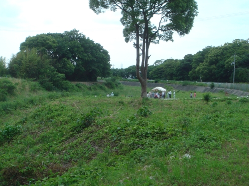 第１回泉州環境サミットin金熊寺川ビオトープ　’09！_c0108460_21252549.jpg