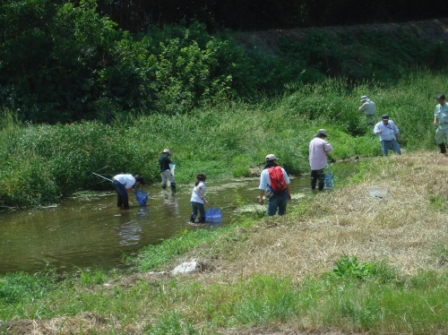 第１回泉州環境サミットin金熊寺川ビオトープ　’09！_c0108460_21273113.jpg