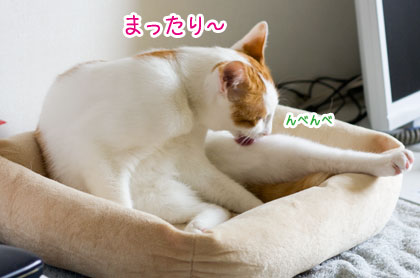 a0119470_18839.jpg