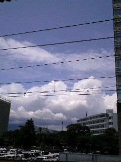 d0109373_21205274.jpg