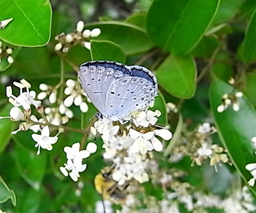 a0061977_174888.jpg