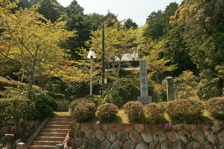 a0045381_22435076.jpg